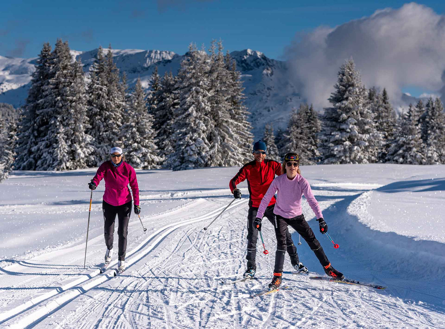 Ski de fond